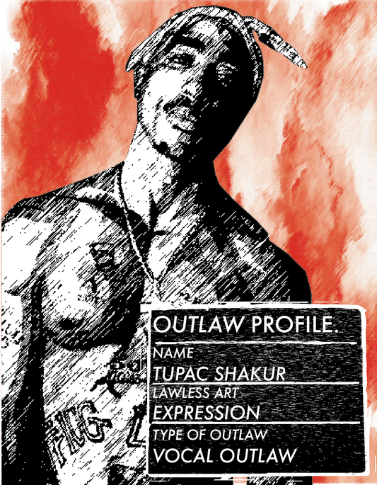 THE VOCAL OUTLAW
